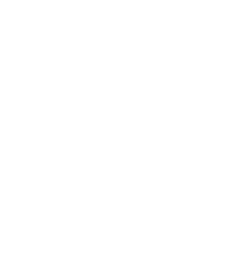 life by seams